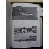Billede 012.jpg